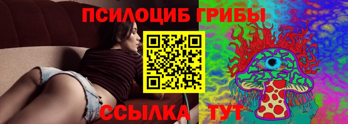 Псилоцибиновые грибы прущие грибы Красноуфимск